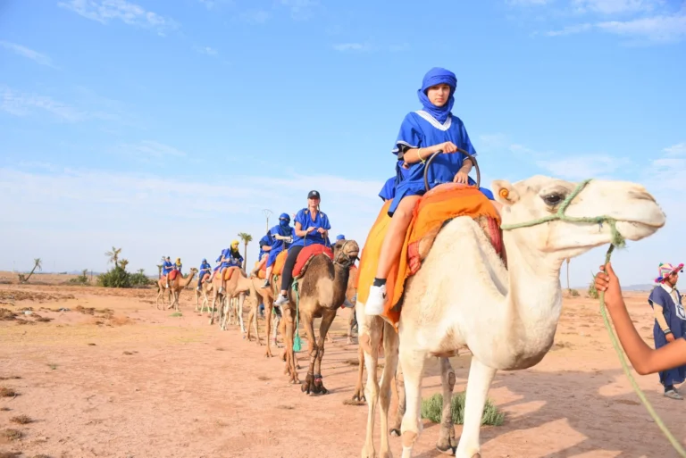 Camel ride with lunch