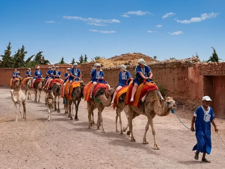 Classic Palmeraie Camel Ride